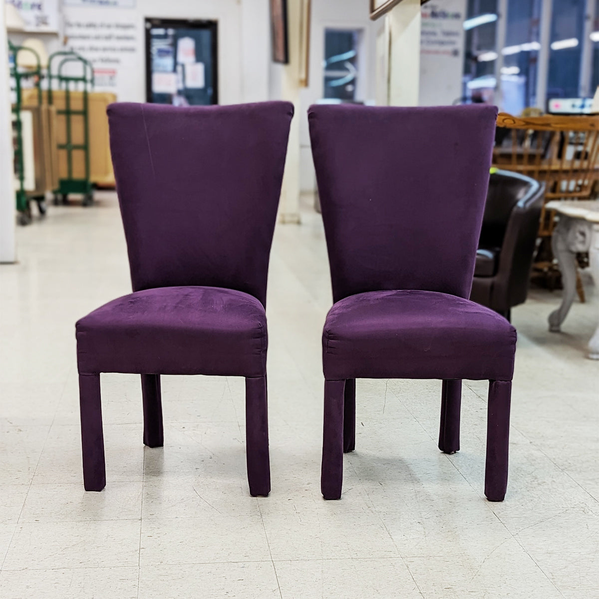 Modern Purple Plush Dining Chairs (Sold Separately) - Habroc - Online ReStore